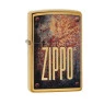 Isqueiro Zippo 29879 Rusty Plate Design