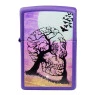 Isqueiro Zippo Skull Tree Design 48638 de frente